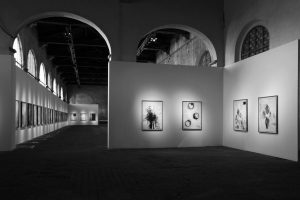 Allestimento della mostra alle Pagliere di Palazzo Pitti - Firenze - Foto di Bruno Bruchi.